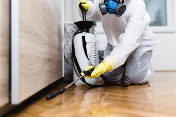 Best Cockroach Control Services  in Greensburg, KY
