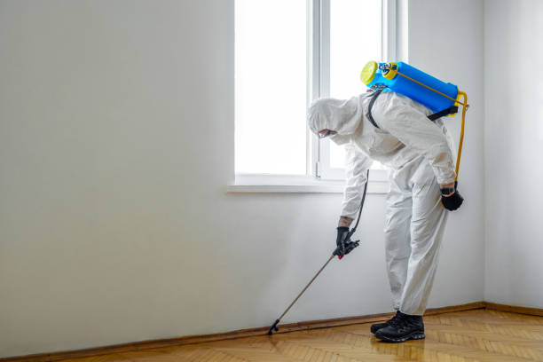 Best Commercial Pest Control Services  in Greensburg, KY