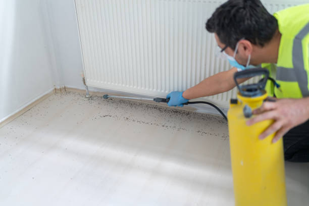 Best Local Pest Control Services  in Greensburg, KY